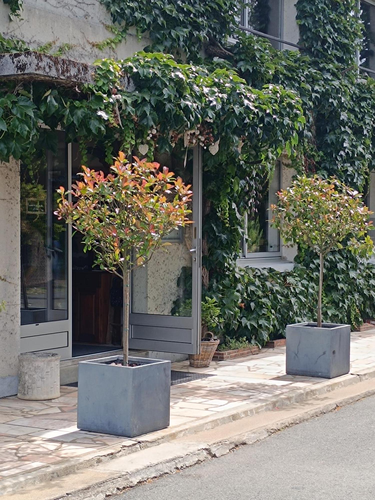 Chambres D'Hotes Du Port Gautier Vouvray-sur-Loir ภายนอก รูปภาพ